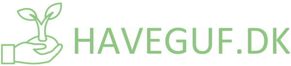 haveguf logo